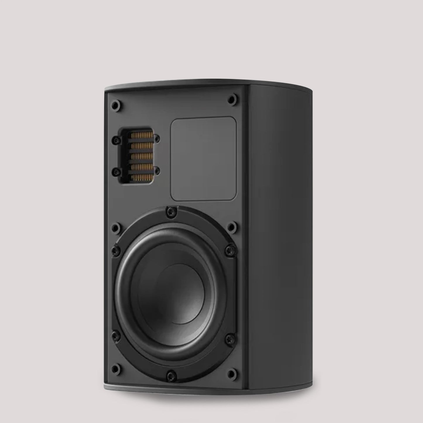 Piega Ace 30 Wireless