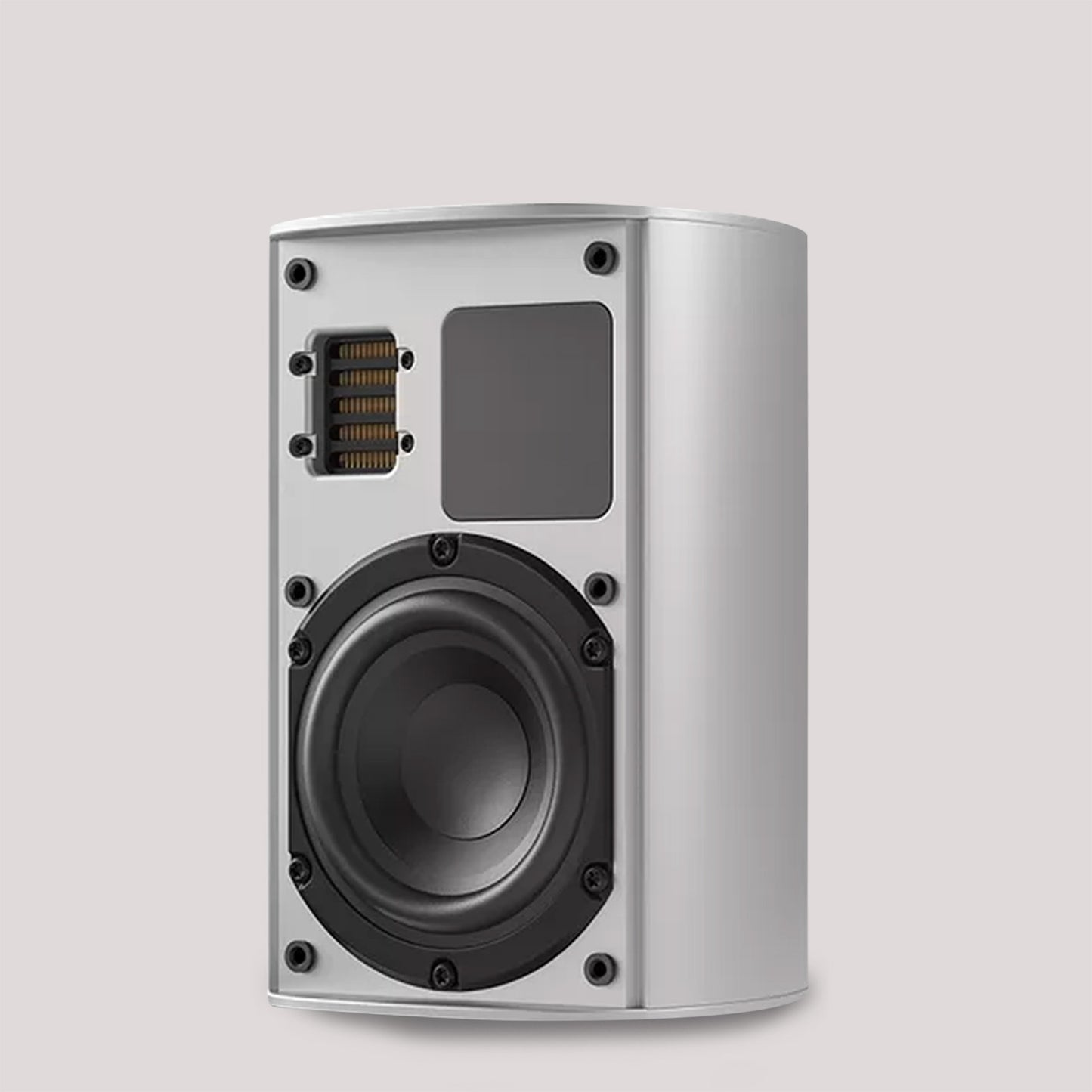 Piega Ace 30 Wireless