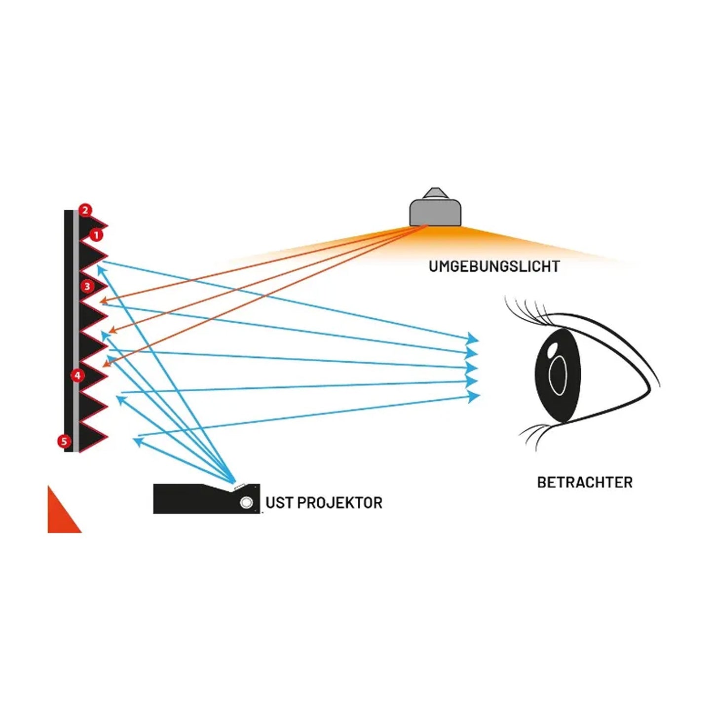 Celoxon HomecinemaPlus