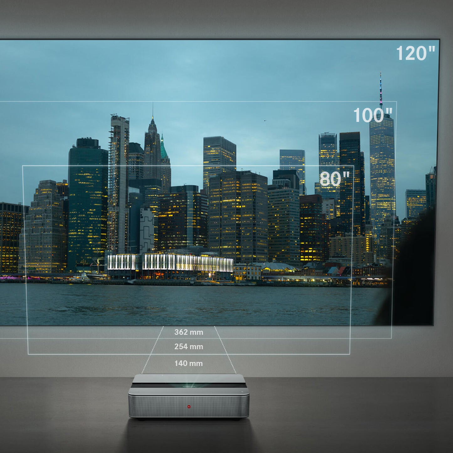 Leica Daylight Screen