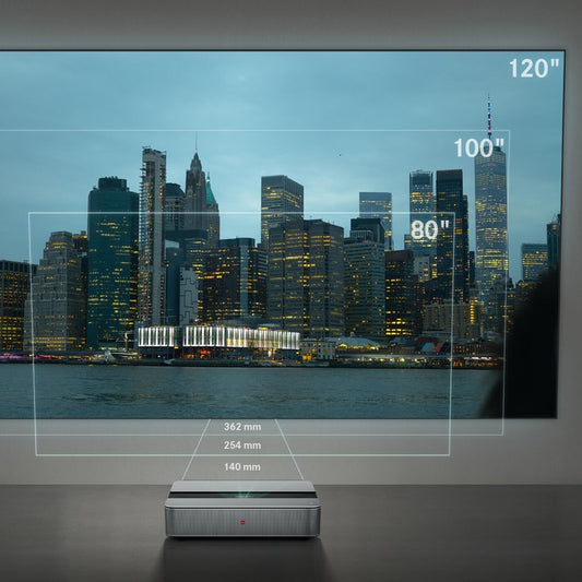 Leica Daylight Screen