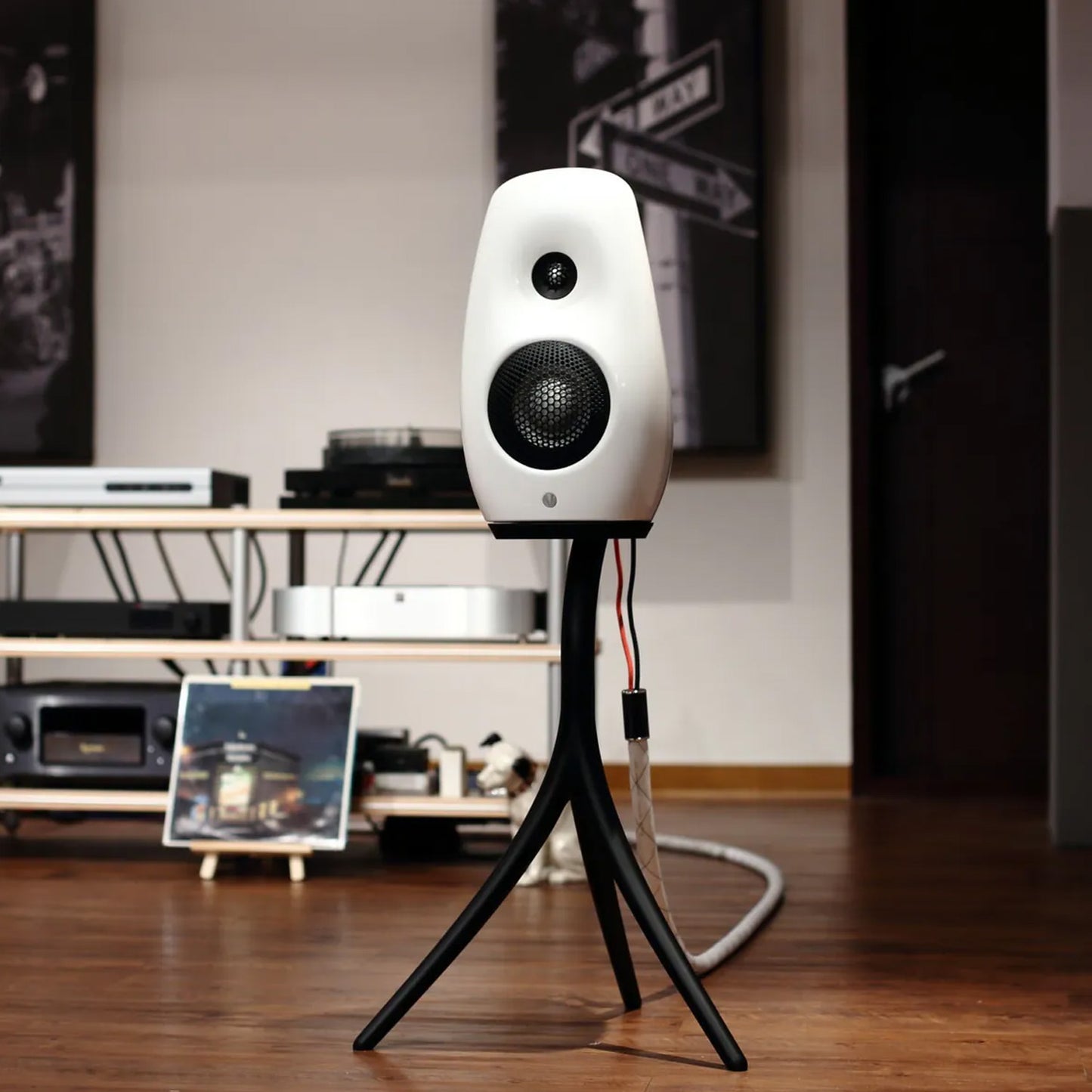 Vivid Audio Kaya S12