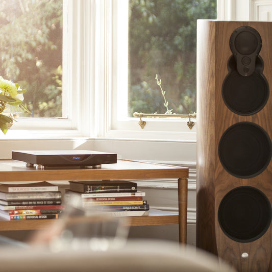 Linn Klimax 350 Organik Upgrade